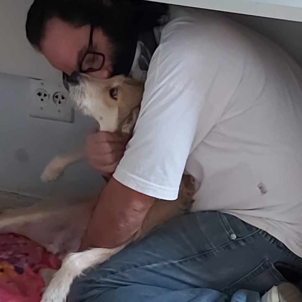 Dr. Saulo demonstrando carinho por um cachorro durante trabalho de cuidado animal